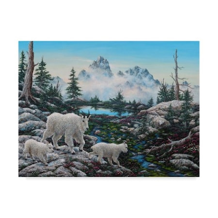 Trademark Fine Art